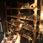 Semesterbostad Natuurhuisje Het Jagertje