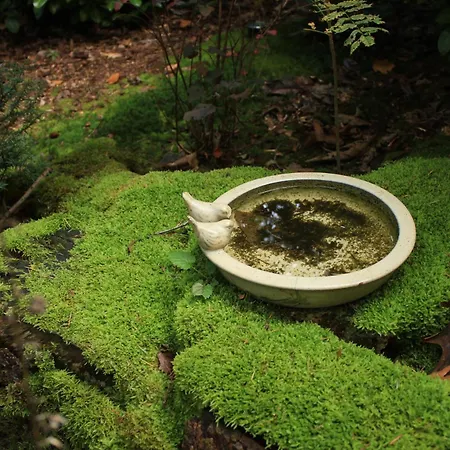 Natuurhuisje Het Jagertje * Emst