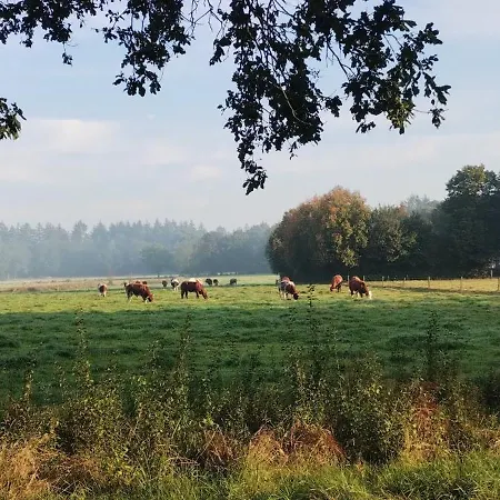 Holiday home Natuurhuisje Het Jagertje Emst
