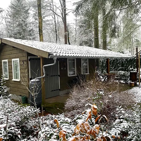 Holiday home Natuurhuisje Het Jagertje Emst