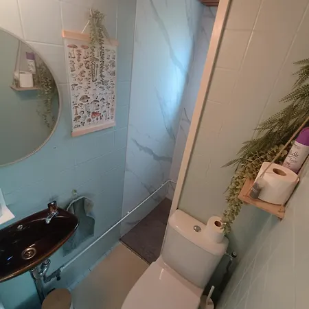 Ferienhaus Natuurhuisje Het Jagertje Emst