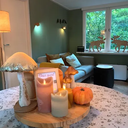 Natuurhuisje Het Jagertje Holiday home Emst