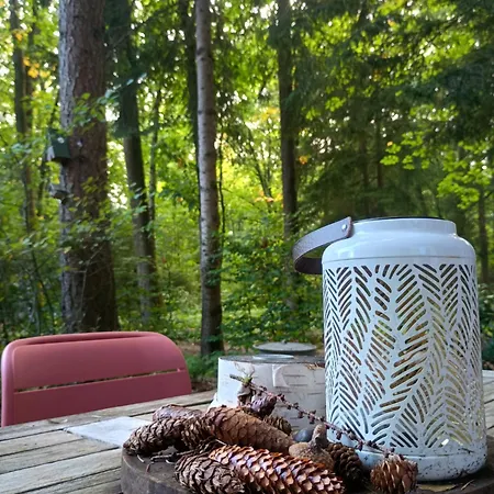 Natuurhuisje Het Jagertje Ferienhaus *