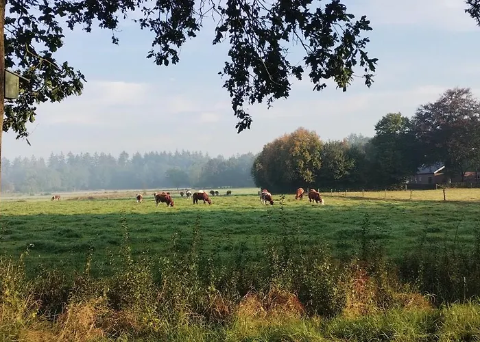 度假居 Natuurhuisje Het Jagertje 埃姆斯特