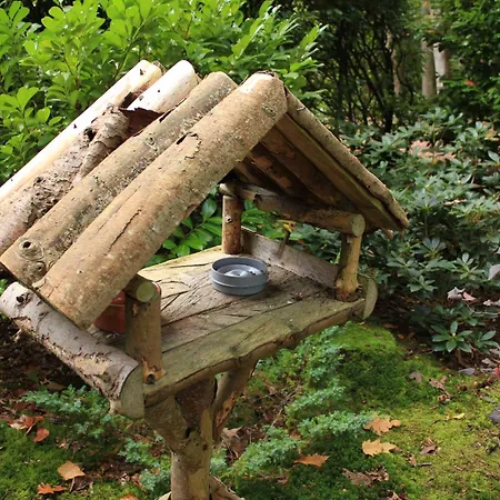 Semesterbostad Natuurhuisje Het Jagertje *