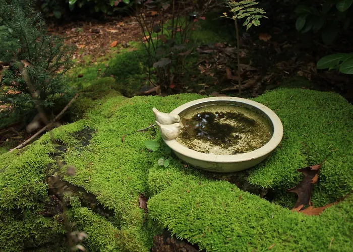 Natuurhuisje Het Jagertje * Emst