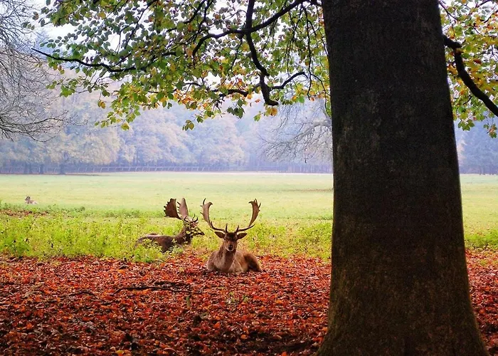 Semesterbostad Natuurhuisje Het Jagertje