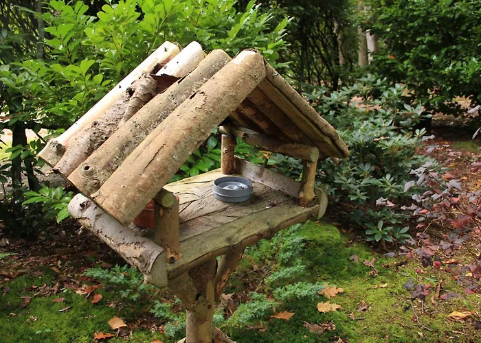 Semesterbostad Natuurhuisje Het Jagertje *