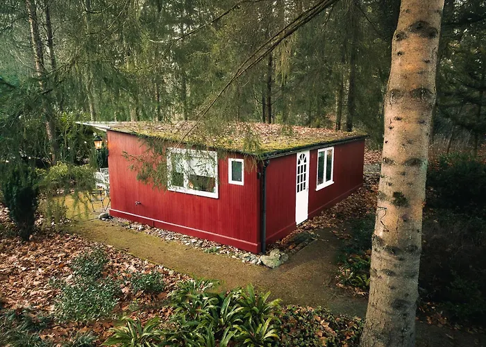 Natuurhuisje Het Jagertje Semesterbostad Emst