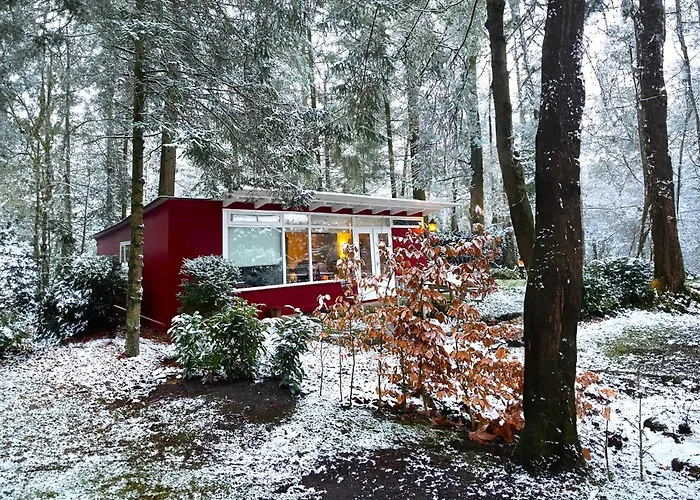 Natuurhuisje Het Jagertje Vakantiehuis Emst