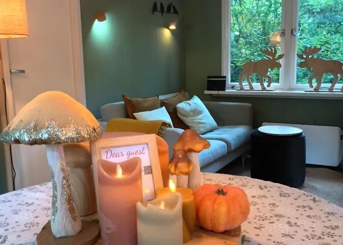 Natuurhuisje Het Jagertje Semesterbostad Emst