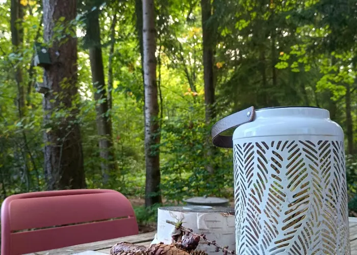 Natuurhuisje Het Jagertje Vakantiehuis *